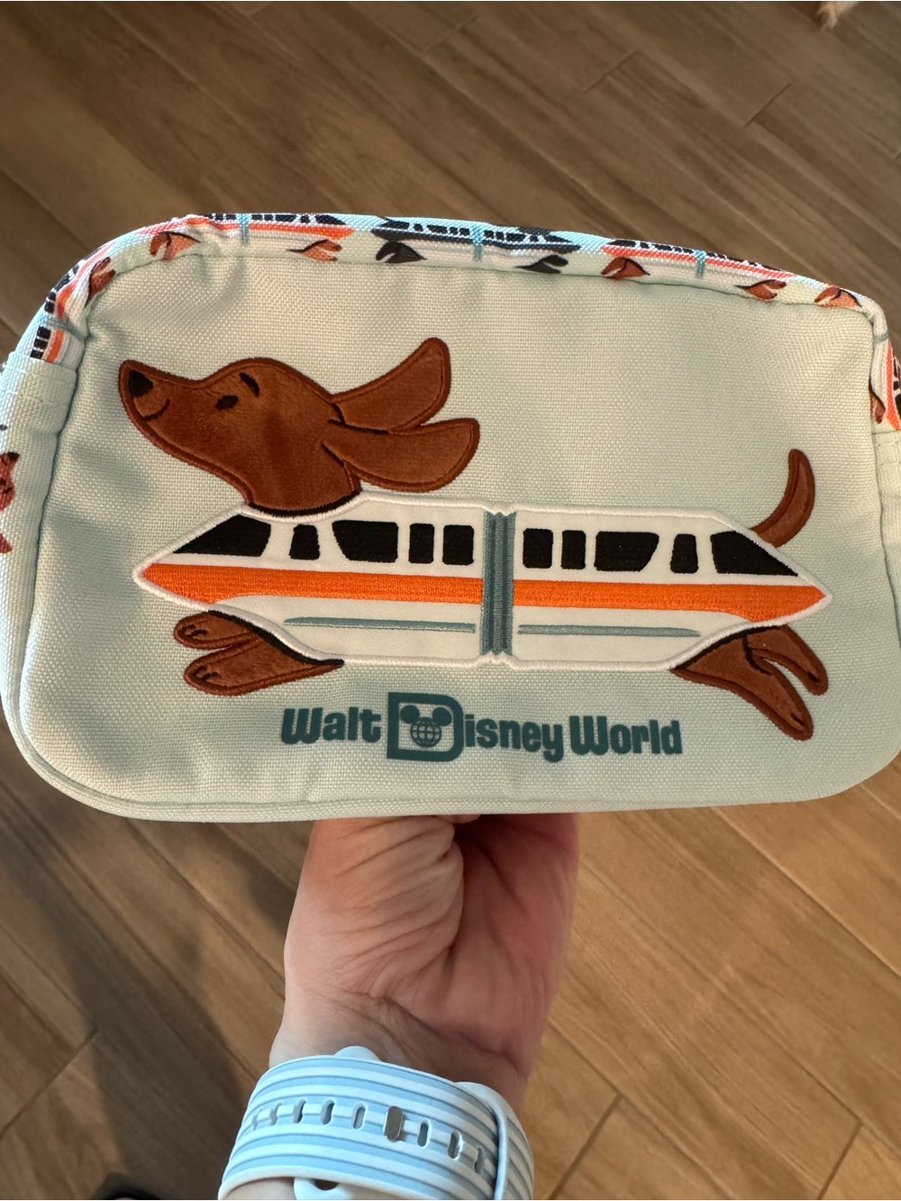 Disney Light Blue Monorail Dog Pouch